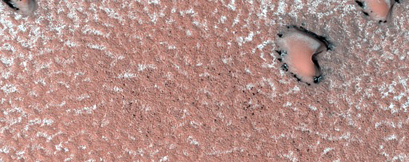 Terrain Sample