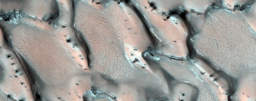 Terrain Sample