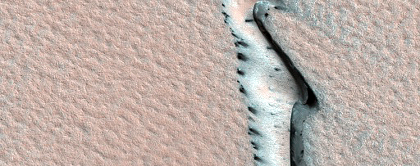 Terrain Sample
