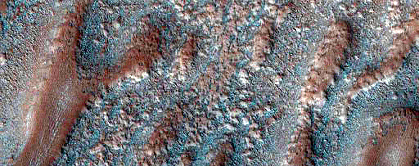 Terrain Sample