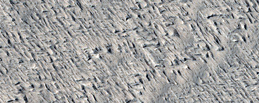 Terrain Sample