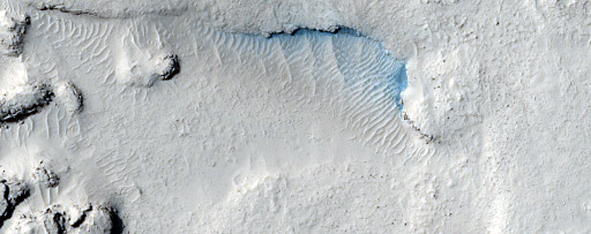 Lava Margin in Elysium Planitia