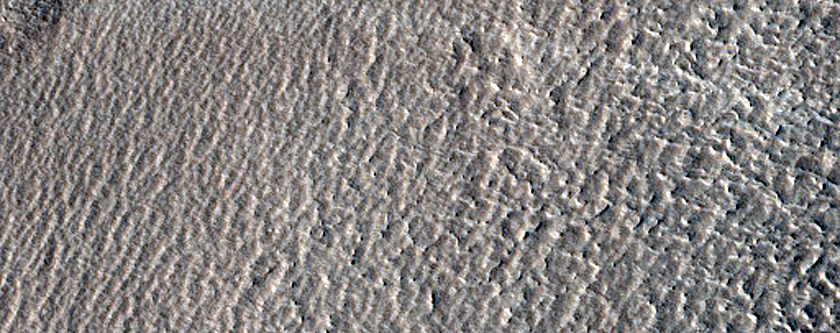 Terrain Sample