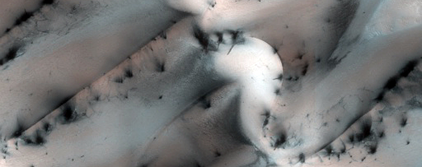 Terrain Sample