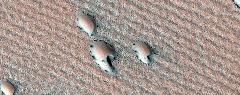 Terrain Sample
