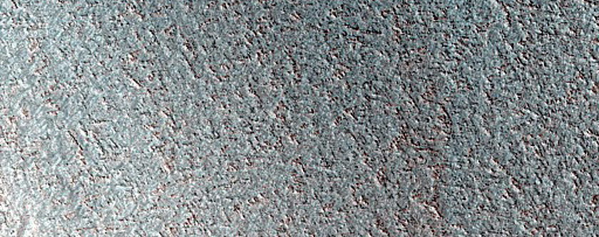 Terrain Sample