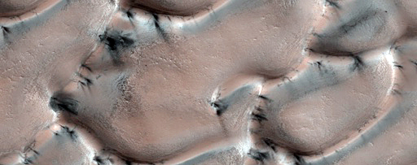 Terrain Sample