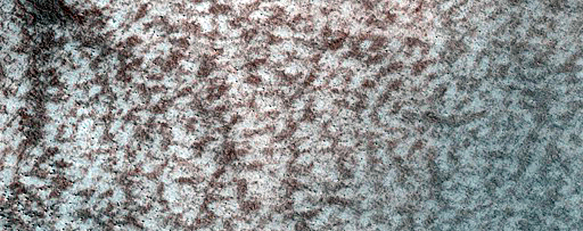 Terrain Sample