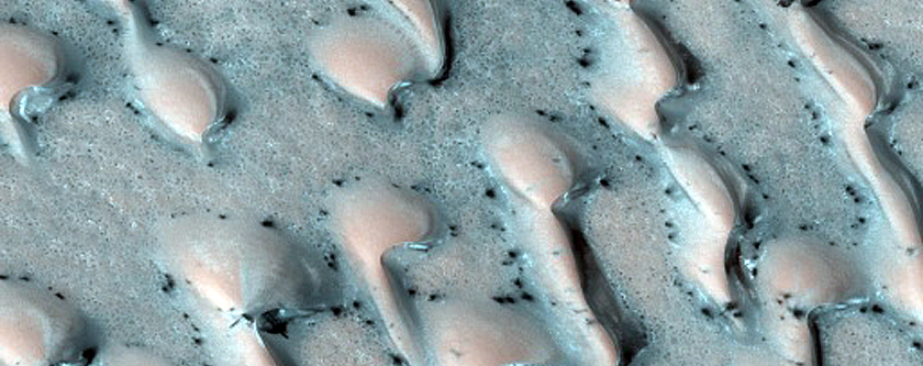 Terrain Sample