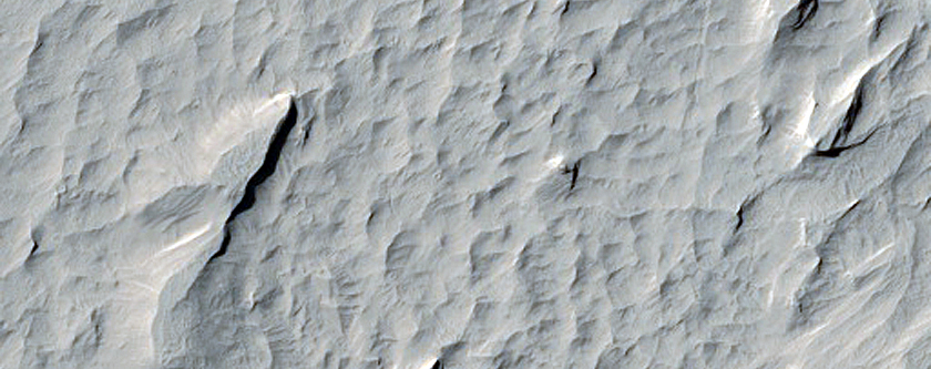 Lucus Planum