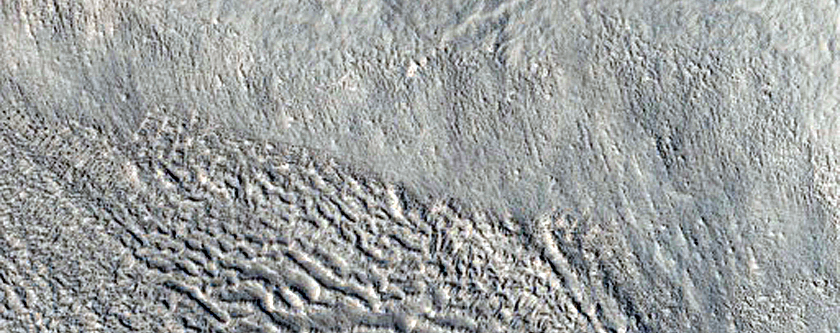 Gully Monitoring