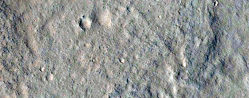 Terrain Sample