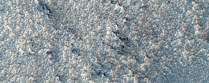 Terrain Sample