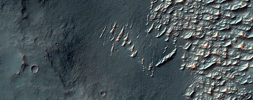 Bright Materials in Nectaris Fossae
