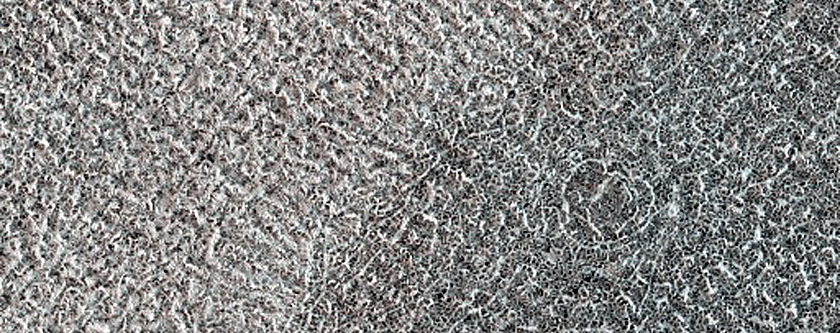 Terrain Sample