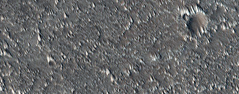Northern Mid-Latitude Terrain