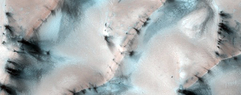 Terrain Sample