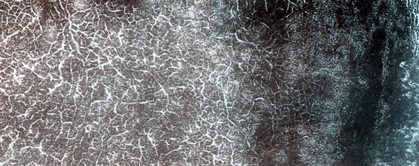 Terrain Sample