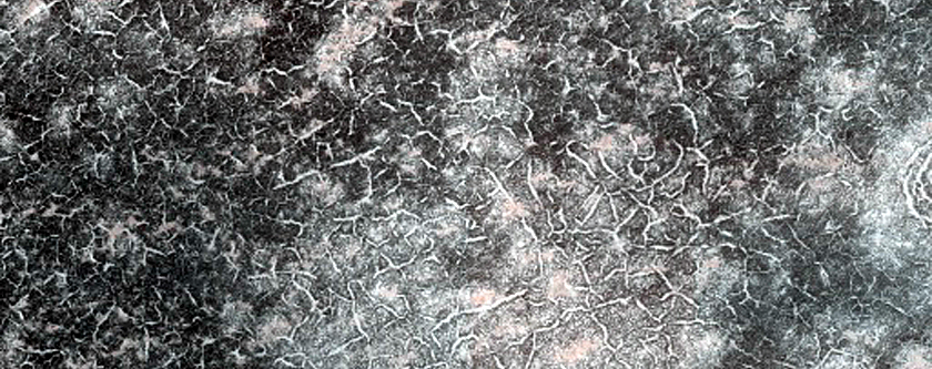 Terrain Sample
