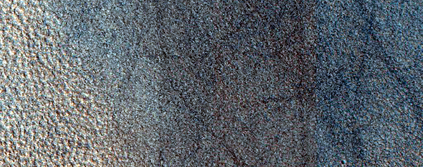 Terrain Sample