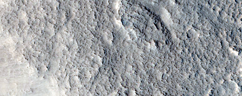 Protonilus Mensae