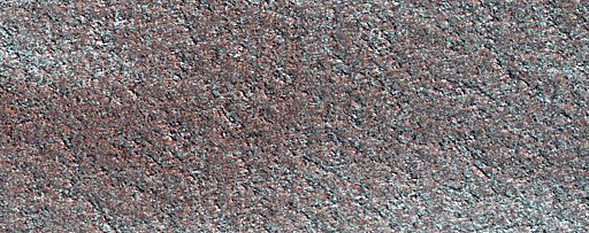 Terrain Sample