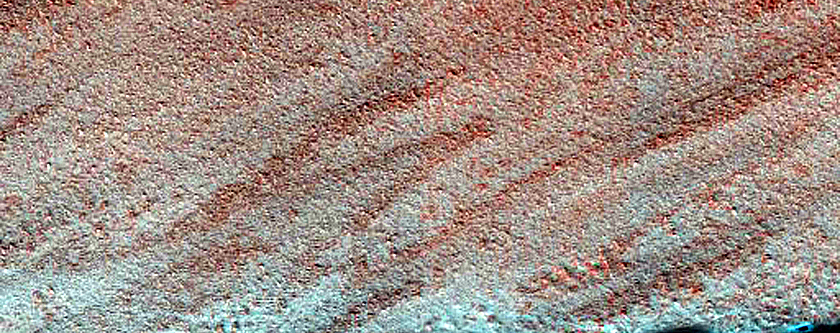 Terrain Sample