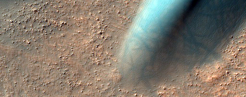 Dunes in Arkhangelsky Crater
