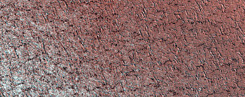 Terrain Sample