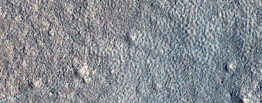 Terrain Sample