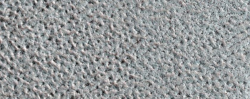 Terrain Sample