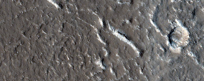Terrain Sample