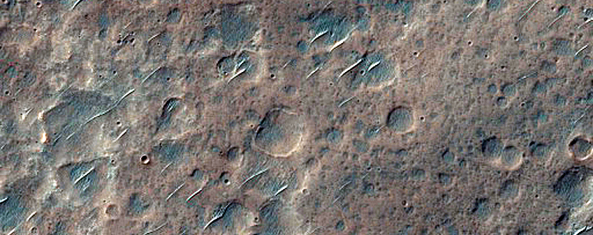 Albedo Monitoring in Melas Dorsa