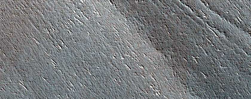 Terrain Sample