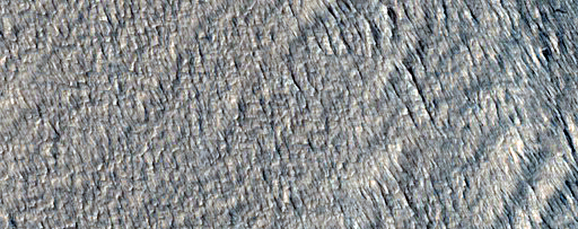 Terrain Sample