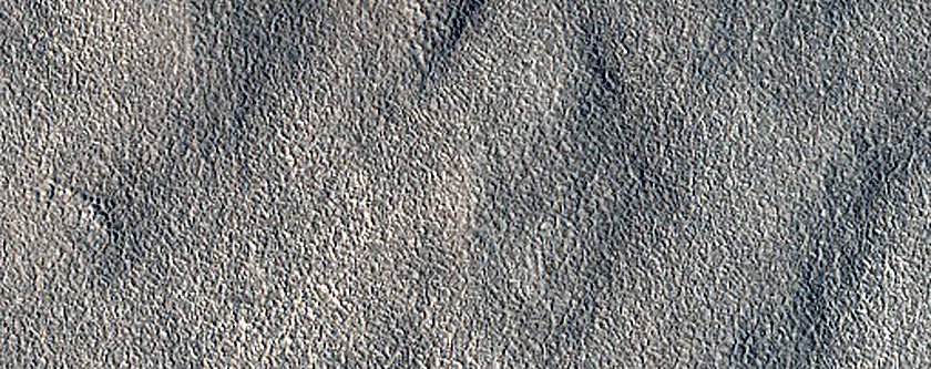 Terrain Sample