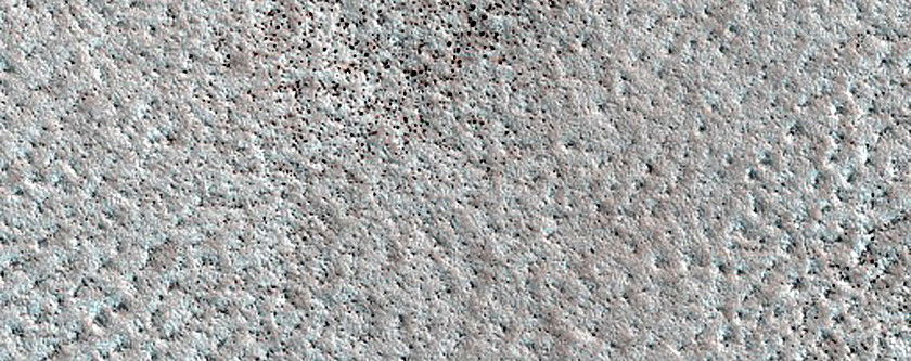 Terrain Sample