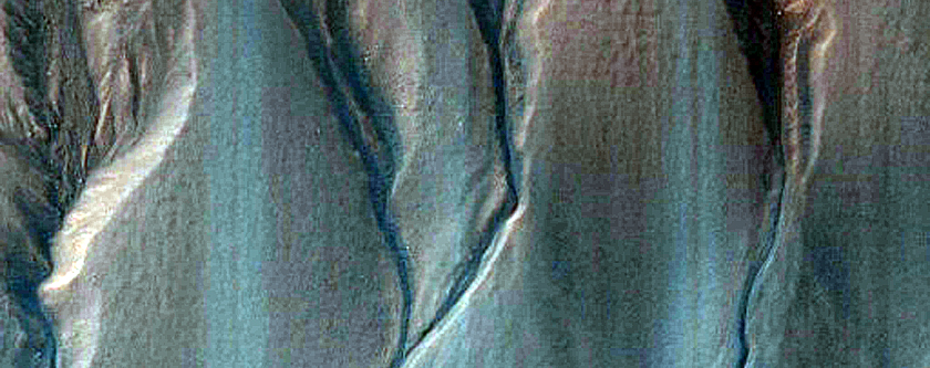 Gully Monitoring