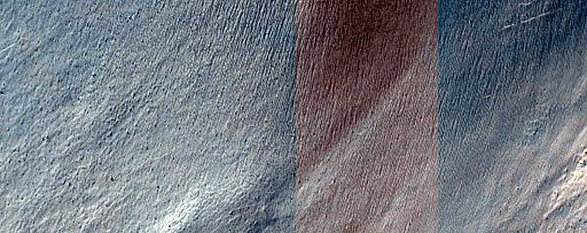 Gullies on Crater Wall