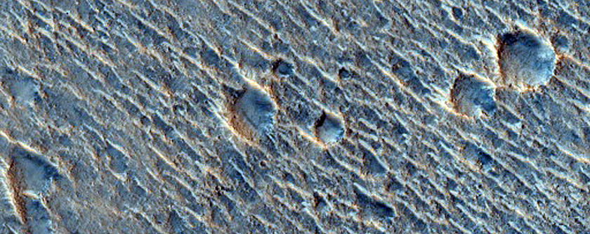 Terrain Sample in Chryse Planitia