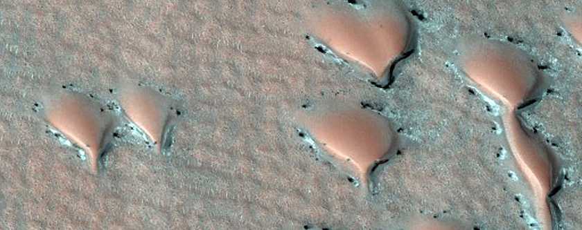 Terrain Sample