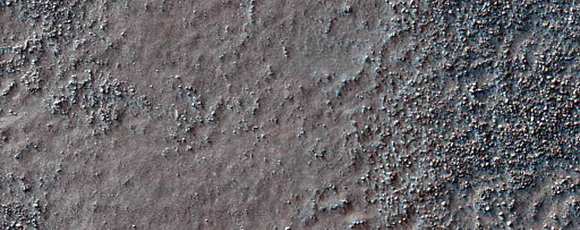 Terrain Sample