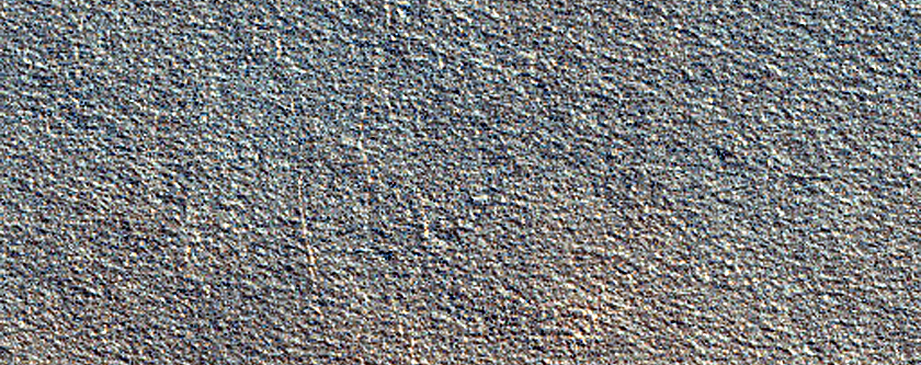 Terrain Sample