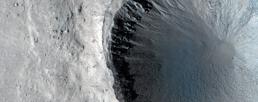 Gully Monitoring