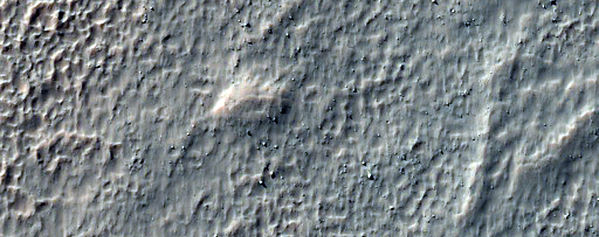 Possible Olivine-Rich Materials on Terra Sirenum Crater Floor
