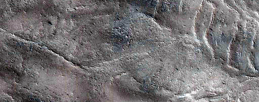 Terrain Sample