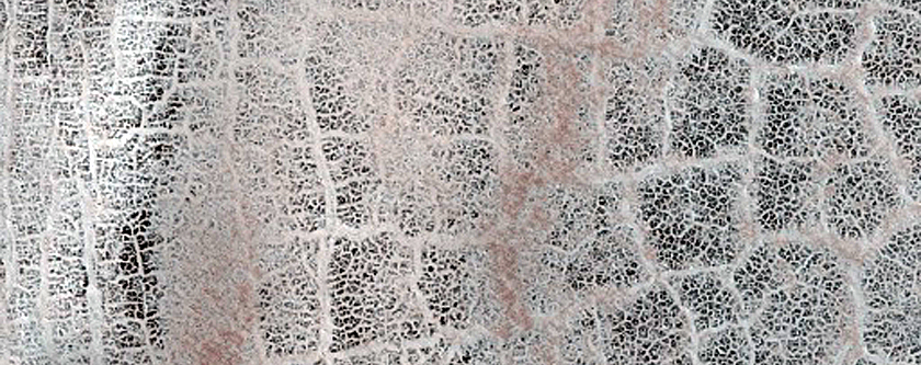 Terrain Sample