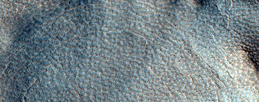 Terrain Sample