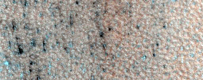 Terrain Sample