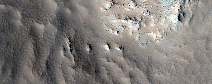 Gully Monitoring